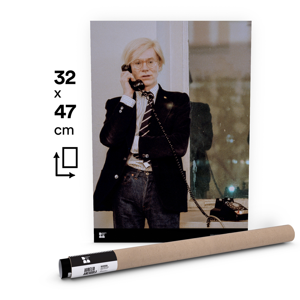 Aurelio Amendola - Andy Warhol poster small